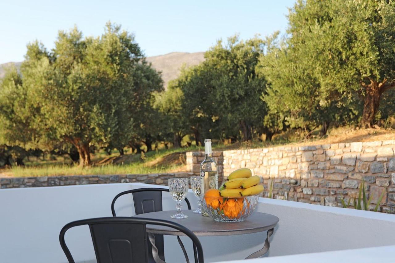 Villa Drosia - Nature Getaway! Plakias Eksteriør billede